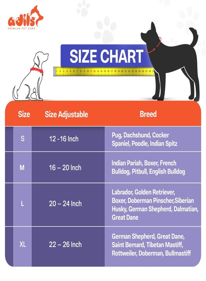 ADIL'S Adil’S Dog Collar for All Sized Dog Adjustable Nylon with Leather Dog Collars 25mm, Metal-Buckle with D-Ring, Colour: Beige :Size,S - Image 4